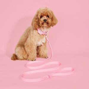 Popular <b>Pet</b> Product PVC Dog <b>Leash</b> and Collar Set Waterproof and Easy to Wash Dog <b>Leash</b> - Product Image 5