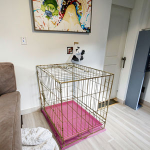 Popüler beyaz galvanizli katlanabilir demir evcil hayvan kafesi küçük köpekler için çıkarılabilir plastik tepsi ile istikrarlı dayanıklı ağır tel sandık - Product Image 2