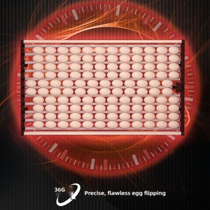 <span class=keywords><strong>Aparato</strong></span> de Incubación para Acuicultura Especializada y Solución Independiente de Energía para Zonas Remotas - Product Image 6