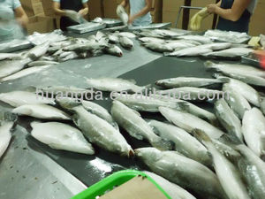 <span class=keywords><strong>Barramundi</strong></span> สดแช่แข็งลดราคา - Product Image 6