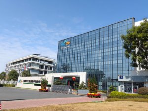 Fournisseur en gros <span class=keywords><strong>de</strong></span> farine <span class=keywords><strong>de</strong></span> blé tout usage <span class=keywords><strong>de</strong></span> qualité supérieure à bas prix, riche en protéines, en sacs <span class=keywords><strong>de</strong></span> 5 kg, 10 kg, 25 kg, 50 kg, livraison rapide - Product Image 4