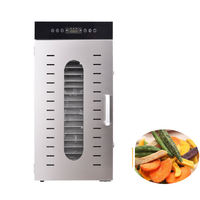 20-bakjes commerciële fruit- en groentedroger met onafhankelijke ruimte voor mango, cassave, plantain en dehydrator voor gedroogde gewassen