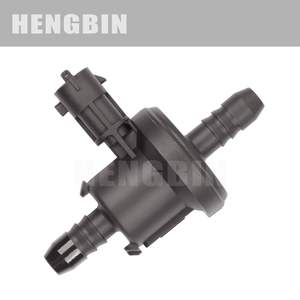 Vanne solénoïde de canister à charbon Pompe à carburant et pièces Modèles n° 0280142430 0280142442 0280142440 55353802 - Product Image 2