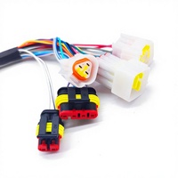 Kabel Harness Otomotif Multi-Konektor Kustom dengan Konektor Pengunci Tahan Air Berbahan Nylon Bersertifikasi IP67 untuk Mobil, Motor, dan Elektronik