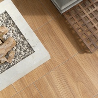 Baldosas de Porcelana con Aspecto de Madera Rústica Antideslizantes y Resistentes de 120*60CM, 18mm de Grosor, para Exteriores, para Apartamentos, Villas y Exteriores