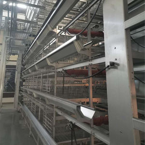 Automatische Batterij Laag Kippenkooi Apparatuur Voor Pluimveebedrijf Voor Kippen Duiven Vogels Verkoop Eierlaag Kippenhok - Product Image 5