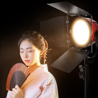 Luz LED Roja para Fotografía, Iluminación de Relleno 3200-5500k, Lámpara Profesional para Audio, Video y Cine, Luz Continua con Puertas de Barn Door