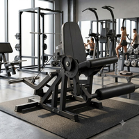 Machine à extensions et flexions de jambes assises, appareil d'entraînement des jambes à double fonction réglable pour le développement des quadriceps et des ischio-jambiers, usage commercial et domestique