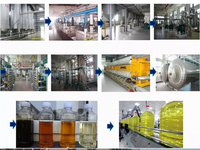 Ligne de production automatique de raffinage d'huile de cuisson 1-100 TPD avec machine de désodorisation, déwaxage, déacidification, dégommage et blanchiment