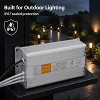 Alimentation LED étanche 250W 12V 20.8A IP67, adaptateur de commutation scellé LDV-250 pour éclairage paysager et signalétique dynamique