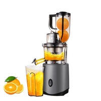 Multifunctionele 3 In 1 Puur Sap Ijs Smoothie Mute Versie Rustig Lage Snelheid Koude Pers Slow Juicer