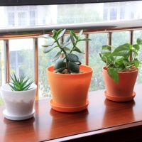 Pot de fleurs en plastique avec soucoupe, décoratif, pour serre domestique et présentation sur bureau, fournisseur chinois