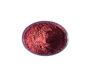 Ekstrak Tanaman Alami Antioksidan 95% OPC Anthocyanin Bubuk Ekstrak Biji Anggur Organik - Product Image 2