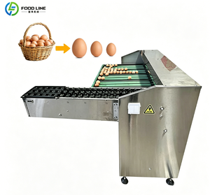 Machine automatique de nettoyage et de tri des œufs en acier inoxydable <span class=keywords><strong>1800</strong></span> P/h avec laveuse - Product Image 1