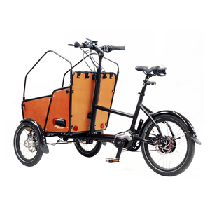 Bafang-Tricycles électriques à moteur central de 250 watts, vélo cargo électrique à <span class=keywords><strong>3</strong></span> <span class=keywords><strong>roues</strong></span> pour la famille - Product Image 5