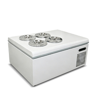 Congélateur à glace Pozzetti pour préparation alimentaire, 4 bacs, acier inoxydable, thermostat mécanique, refroidissement direct, installation sur comptoir