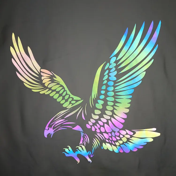 Adesivo colorido de arco-íris, multicolorido, letras reflexivas, águia de borboleta, transferência de calor para camiseta