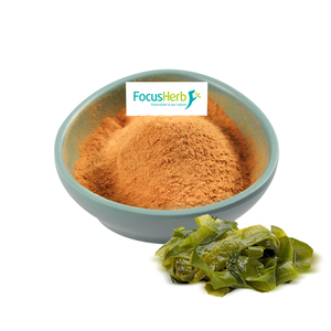 Focusherb สารสกัดจากสมุนไพรเกรดอาหาร fucoxanthin สารสกัดจากสาหร่ายทะเล10% - Product Image 1