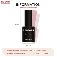 Esmalte de Uñas Magnético en Gel de Ojo de Gato de Alta Pigmentación, Semipermanente, con Logotipo Personalizado, Proveedor Mayorista de Tendencia