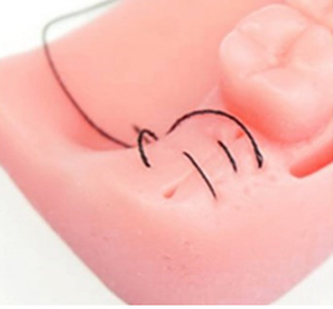 Simulateur <span class=keywords><strong>de</strong></span> chirurgie pour <span class=keywords><strong>l</strong></span>'école <span class=keywords><strong>de</strong></span> dentisterie, modèle <span class=keywords><strong>de</strong></span> Suture dentaire, Science médicale, <span class=keywords><strong>Oral</strong></span>, étudiants d'université, 230 - Product Image 4