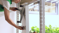 Étagères de culture pour champignons OEM, prix d'usine, système vertical, étagère mobile, support vertical pour culture en intérieur