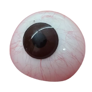 Prótesis ocular de IRIS marrón de primera calidad, implante de ojo artificial realista para un uso cómodo y restauración ocular cosmética natural - Product Image 5