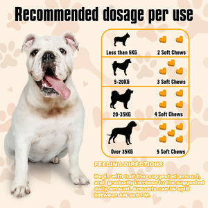 Dogana longevità cane mastica-Anti-invecchiamento Pet integratore di assistenza sanitaria con NMN & resveratrolo vitamine integratore per gatti OEM - Product Image 3