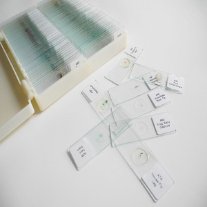 Experimental biological <b>microscope</b> specimen slides, 10 types of biological teaching materials, biological slide specimens - Product Image 3