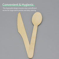 Ensemble de couverts jetables en bois de bouleau naturel compostable de 160 mm, vente en gros, couteaux, fourchettes et cuillères écologiques pour dîner, pack de fournitures