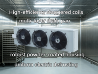 Évaporateur de refroidissement par air série DD pour chambre de congélation rapide RT≥-5 ° Unité de réfrigération industrielle C 9mm Fin Space