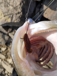 <span class=keywords><strong>Banshee</strong></span> – leurre de pêche ESN75, vente en gros, produits bon marché, appât en Silicone souple, queue de pagaie, personnalisation complète, leurre de pêche Koder - Product Image 6