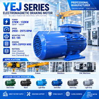 Moteur de freinage électromagnétique haute puissance série YEJ 2930-2950 tr/min, 100 % fil de cuivre, B3 B5 CE ISO pour grue, palan, machine CNC
