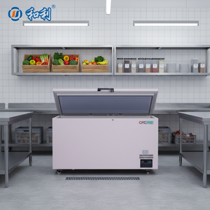 Congélateur coffre monotempérature 1000L -65°C en acier inoxydable, encastrable pour cuisine, avec refroidissement direct et affichage numérique - Product Image 6