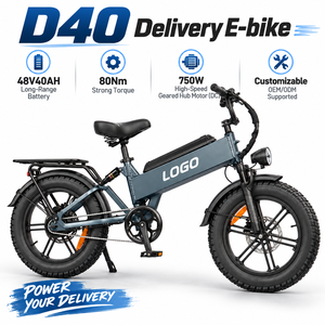 Bicicleta Eléctrica Plegable D40 para Reparto, 750W, 48V, Batería de 40Ah, Rueda de 20 Pulgadas, Cuadro de Aluminio, Freno de Disco, Una Velocidad - Product Image 1