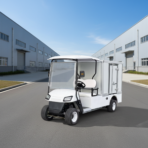 Carrito de Golf Eléctrico con Cajas de Carga, Portacelular Multifuncional, Certificado EEC, 30 km/h, Autonomía de 70-90 km - Product Image 3