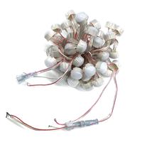 Prix d'usine T20, LED Pixel RGBW extérieur IP66 de 12 mm, 20 mm, 30 mm pour Noël et les fêtes, installation permanente