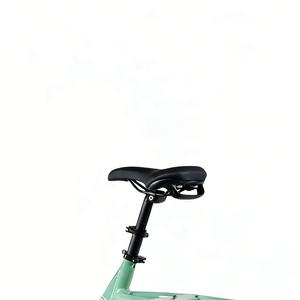 Vélo cargo électrique vintage CE le plus vendu, 48V 85Nm 9 vitesses 11-38T, aussi agile qu'il soit stable - Product Image 3