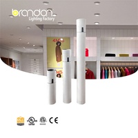 Brandon Track Lights Système d'éclairage sur rail Led Cylindre encastré Led Track Light pour exposition Shop Airport