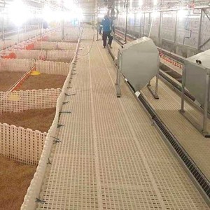 Mangeoire à volaille nid de volaille système d'alimentation en chaîne automatique fermes avicoles nouvelles mangeoires à poulet avec ligne d'alimentation moteur - Product Image 2