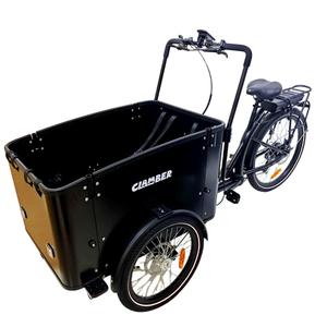 Vélo cargo électrique à 3 roues, entrepôt européen, Lastenrad Bakfiets néerlandais pour usage familial quotidien - Product Image 3