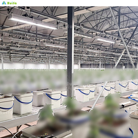 Système de culture hydroponique vertical de haute qualité pour plantes d'intérieur, avec plusieurs niveaux, sur roulettes, grande étagère de culture, système d'irrigation par flux et reflux, en ABS