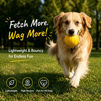 Balle de jeu pour chien en mousse souple certifiée REACH avec sangle, jouets personnalisés pour chien, jouets à mâcher pour animaux de compagnie pour jeu interactif