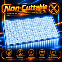 Feuille LED étanche IP67 DC24V Dimmable 6000K 242 LED avec diffuseur de surface, panneau rétroéclairé flexible, feuille LED à CRI élevé 90, panneau LED