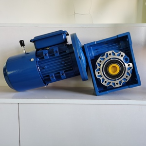 208-230/240V AC Einphasiger Schneckengetriebemotor Hocheffizienter Flanschmontierter Schneckengetriebemotor - Product Image 5