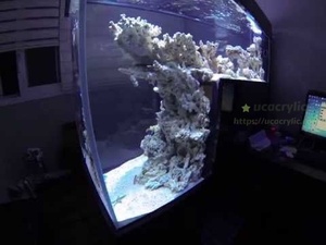 Aquarium pour poissons, grand aquarium, réservoir à poissons - Product Image 4