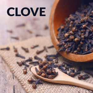 Tinh dầu nhà cung cấp cao cấp đinh hương nụ dầu cho da chăm sóc tóc CE chứng nhận tinh khiết Hữu Cơ đinh hương tinh dầu - Product Image 4