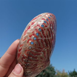 Concha <span class=keywords><strong>de</strong></span> color rojo natural para decoración del hogar, pecera, acuario, decoración creativa, concha <span class=keywords><strong>de</strong></span> <span class=keywords><strong>abulón</strong></span>, <span class=keywords><strong>conchas</strong></span> marinas - Product Image 3