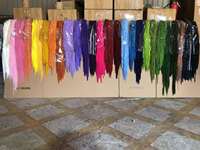 5 pièces de fleurs suspendues LED en amarante caudata naturelle préservée, décoration de mariage