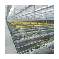 Serre commerciale multi-chapelles entièrement automatisée pour la culture des fleurs, avec système de chauffage et couverture isolante