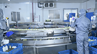 Vaccinador Avícola Automático de Alta Eficiencia, Dosis Ajustable de 0.1-0.35ml, Máquina de Inyección Segura y Duradera para Pollitos en Criaderos